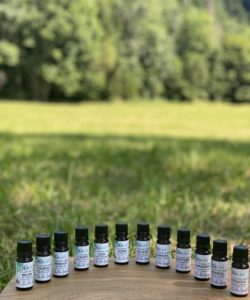 La Fée Sapgyria