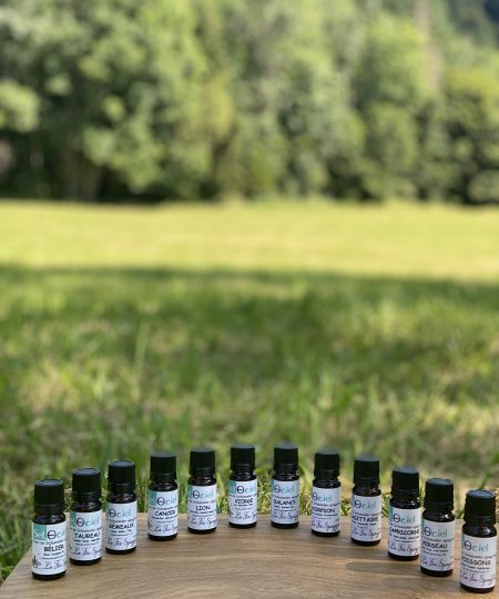 La Fée Sapgyria
