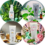 House of Wonder