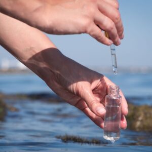 L’Océan intérieur : quand l’eau de mer parle à nos cellules.